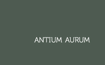 Numismatika - ANTIUM AURUM